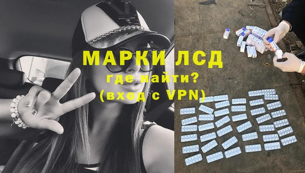 крисы Козловка