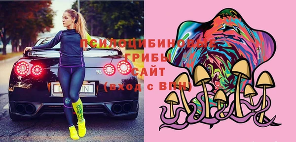 крисы Козловка