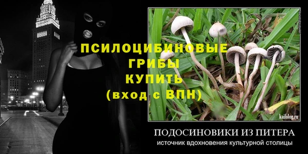 мяу мяу мука Иноземцево