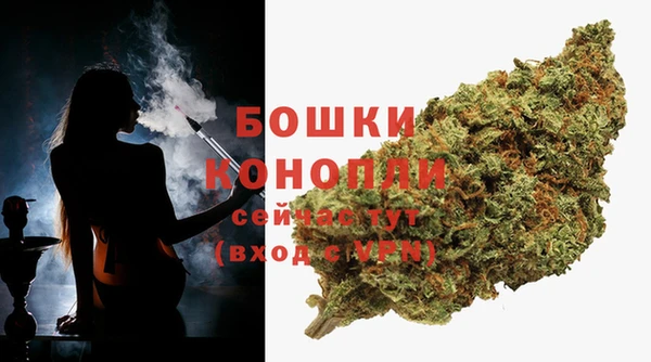 шишки Костерёво