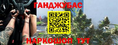 сатива Коммунар