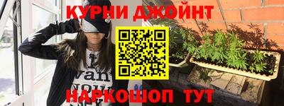 сатива Коммунар