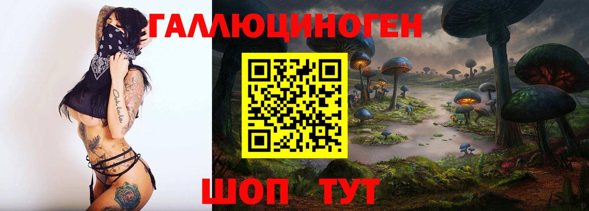 Галлюциногенные грибы Psilocybine cubensis  купить   Урус-Мартан  Вход с VPN 