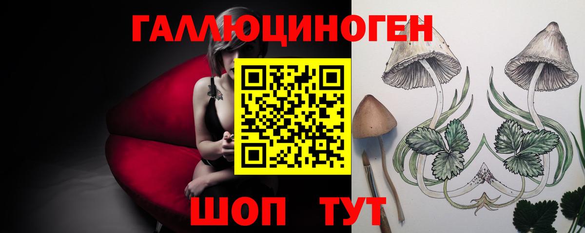 Псилоцибиновые грибы Psilocybine cubensis  Урус-Мартан 